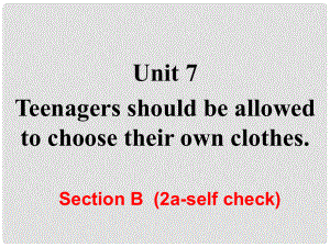 九年級(jí)英語(yǔ)全冊(cè) Unit 7 Teenagers should be allowed to choose their own clothes Section B（第2課時(shí)）課件 （新版）人教新目標(biāo)版