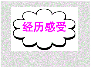 廣東省深圳市高考英語二輪復(fù)習(xí) 基礎(chǔ)寫作 高效解題密招 經(jīng)歷感受課件