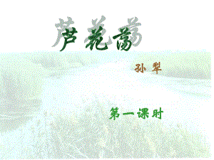 廣東省惠州市博羅縣楊僑中學(xué)八年級(jí)語(yǔ)文上冊(cè) 2 蘆花蕩課件 新人教版