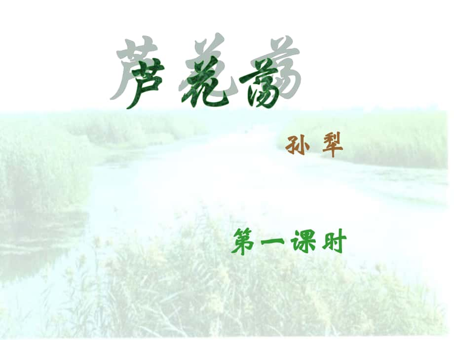 廣東省惠州市博羅縣楊僑中學(xué)八年級(jí)語(yǔ)文上冊(cè) 2 蘆花蕩課件 新人教版_第1頁(yè)