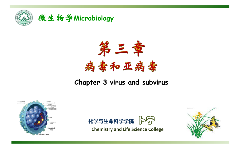 31微生物学ppt课件_第1页