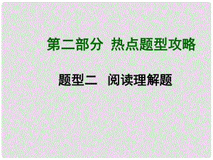 中考數(shù)學總復習 第二部分 熱點題型攻略 題型二 閱讀理解題課件