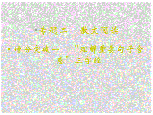 重慶市永川中學高考語文二輪復習 “理解重要句子含意”三字經知識點課件