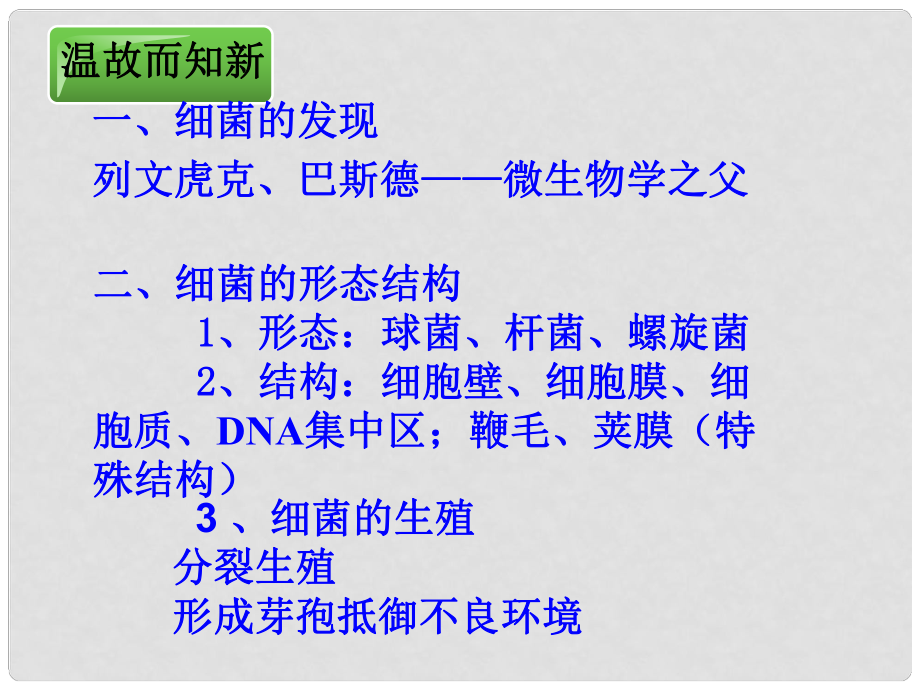 四川省越西中學(xué)八年級(jí)生物上冊(cè) 第五單元 第四章 第三節(jié) 真菌課件 新人教版_第1頁