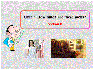 湖北省武漢市第六十三中學(xué)七年級(jí)英語(yǔ)上冊(cè) Unit 7 How much are these socks Section B課件3 （新版）人教新目標(biāo)版