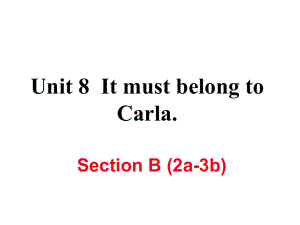 九年級英語全冊 Unit 8 It must belong to Carla（第5課時）Section B（2a3b）作業(yè)課件 （新版）人教新目標版