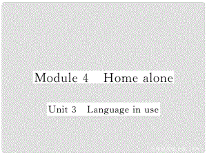 九年級英語上冊 Module 4 Home alone Unit 3 Language in use作業(yè)課件 （新版）外研版