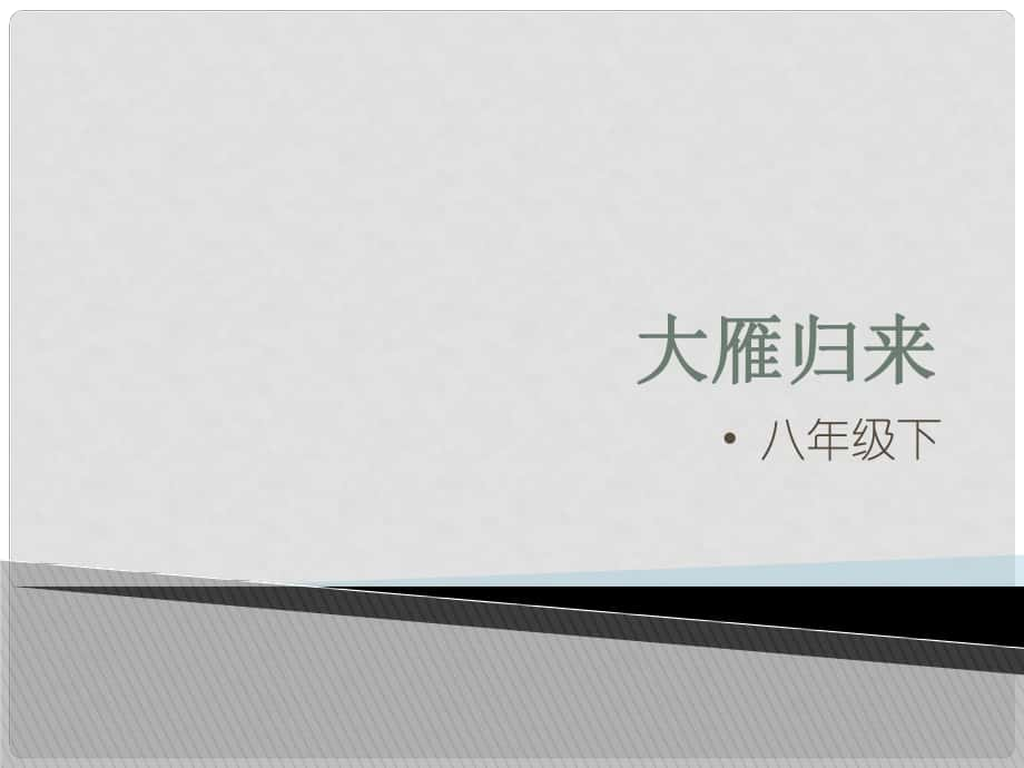 山東省泰安市新城實驗中學(xué)八年級語文下冊 14《大雁歸來》課件2 新人教版_第1頁