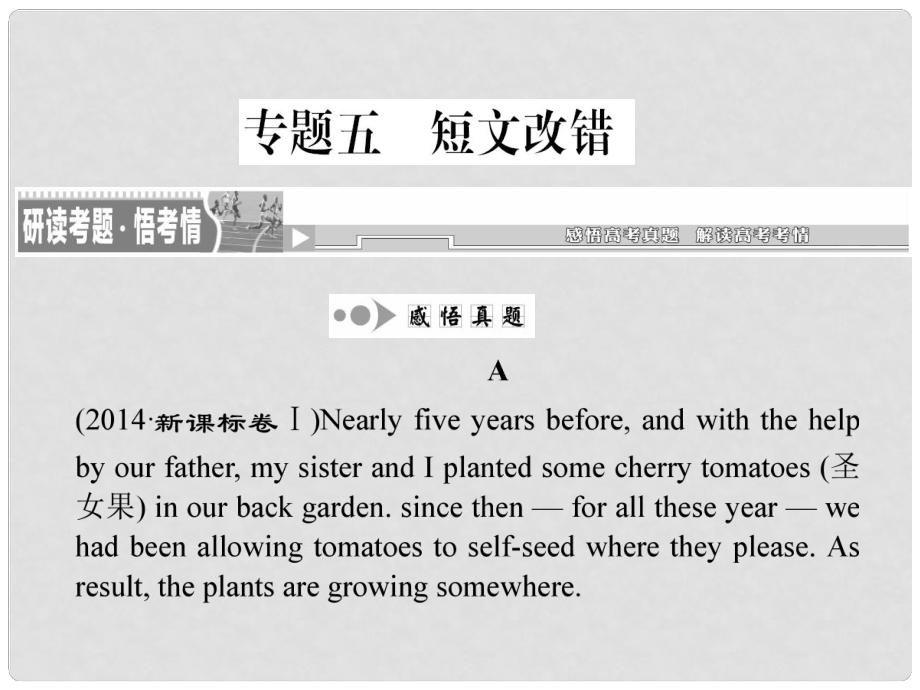 高考英語(yǔ)二輪復(fù)習(xí) 題型攻略篇 專題五 短文改錯(cuò)課件_第1頁(yè)