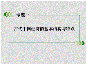 高中歷史 專題1第4課 古代中國的經(jīng)濟政策課件 人民版必修2