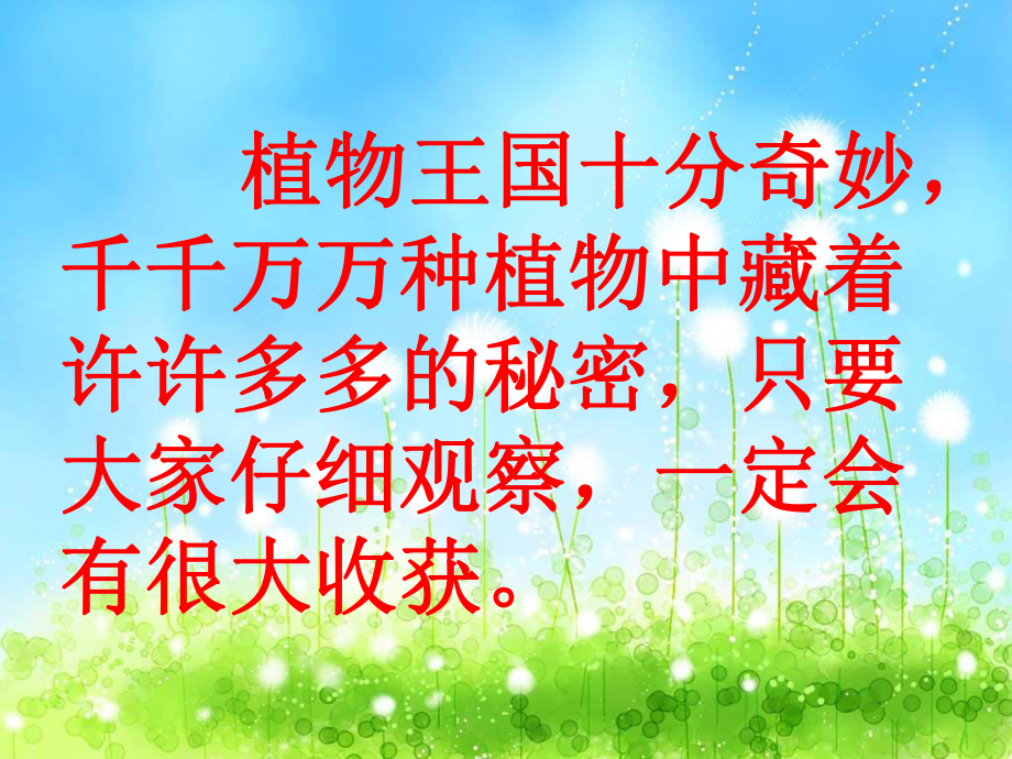 北京版二年级下册植物妈妈有办法PPT课件_第1页
