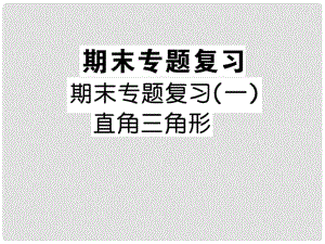 八年級數(shù)學(xué)下學(xué)期期末專題復(fù)習(xí)一 直角三角形課件 （新版）湘教版