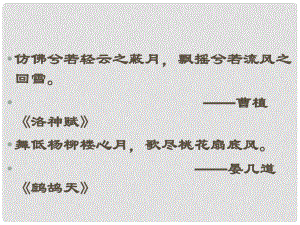 山東省泰安市新城實(shí)驗(yàn)中學(xué)七年級語文下冊 19《觀舞記》課件1 新人教版