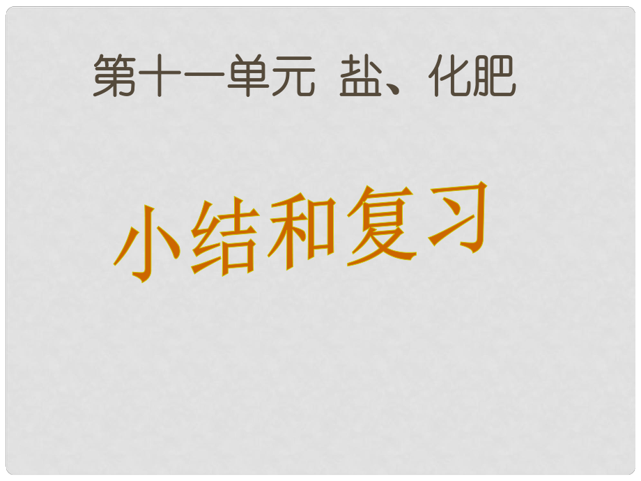 九年级化学下册 第11单元 盐 化肥复习课件 （新版）新人教版_第1页