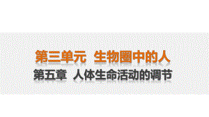 中考生物 第3單元 第5章 人體生命活動的調(diào)節(jié)復習課件