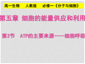 高中生物 第5章 細胞的能量供應和利用 第3節(jié) ATP的主要來源細胞呼吸課件 新人教版必修1