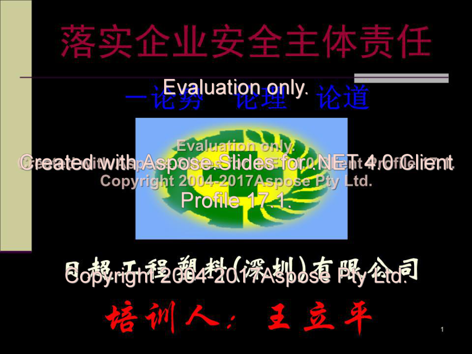 《安全主体责任》PPT课件_第1页