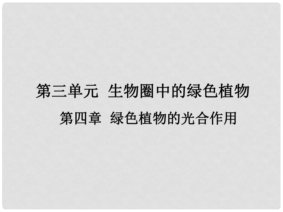 广东省中山市黄圃镇中学中考生物 第三单元 第四章 绿色植物的光合作用复习课件 新人教版_第1页