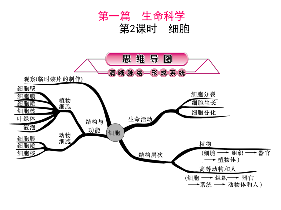 浙江省中考科學(xué)第一輪總復(fù)習(xí) 第一篇 生命科學(xué) 第2課時 細(xì)胞課件_第1頁