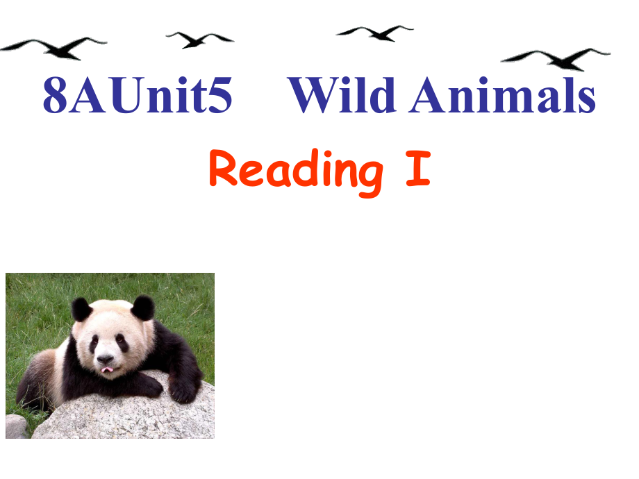 江蘇省永豐初級(jí)中學(xué)八年級(jí)英語上冊(cè)《Unit 5 Wild Animals reading 1》課件 （新版）牛津版_第1頁