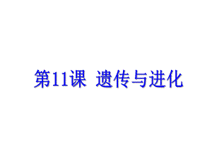 浙江省中考科學(xué)基礎(chǔ)復(fù)習(xí) 第11課 遺傳與進(jìn)化課件