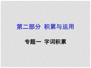 貴州省遵義市中考語文專題復(fù)習(xí) 第二部分 積累與運(yùn)用 專題一 字詞積累課件