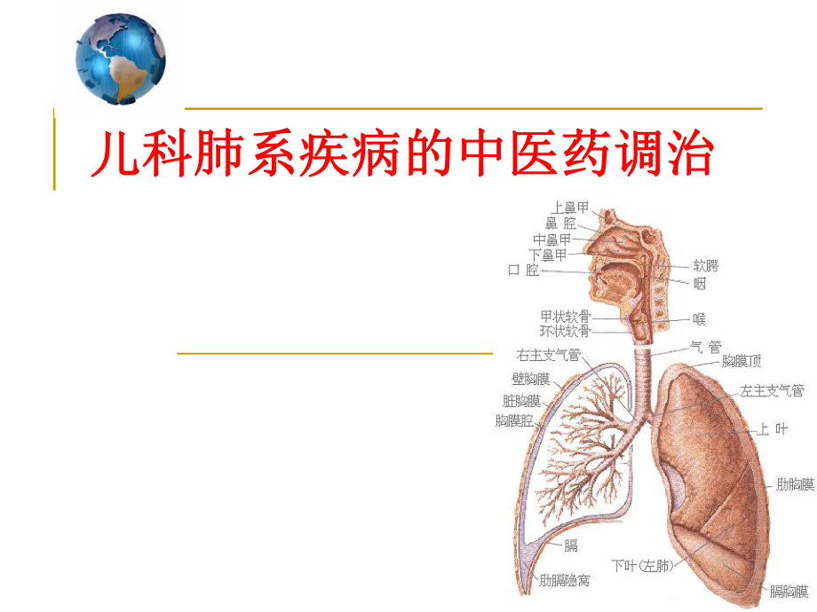 小兒肺系疾病的中醫(yī)藥調(diào)治 pt課件_第1頁(yè)