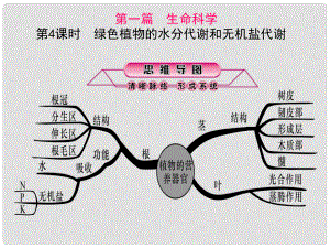 浙江省中考科學第一輪總復習 第一篇 生命科學 第4課時 綠色植物的水分代謝和無機鹽代謝課件