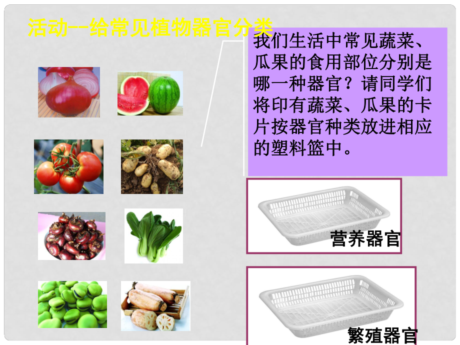 七年級生物上冊 第一單元 第二章 第三節(jié) 多細(xì)胞生物體的結(jié)構(gòu)層次 給常見植物器官分類課件 （新版）濟(jì)南版_第1頁