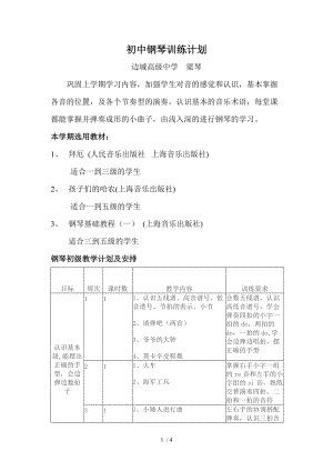 初中鋼琴專業(yè)訓(xùn)練計劃