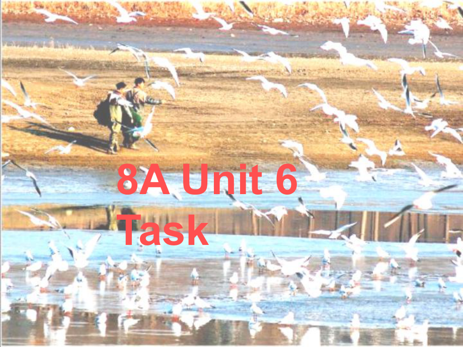 江蘇省永豐初級(jí)中學(xué)八年級(jí)英語(yǔ)上冊(cè)《Unit 6 Bird watching Task》課件3 （新版）牛津版_第1頁(yè)