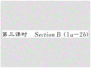 八年級(jí)英語(yǔ)上冊(cè) Unit 9 Can you come to my party（第3課時(shí)）Section B課件 （新版）人教新目標(biāo)版