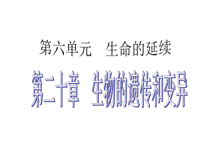 廣東省中考生物 考點(diǎn)梳理復(fù)習(xí) 第六單元 第二十章 生物的遺傳和變異課件