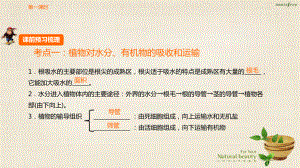 中考突破中考生物 第三單元 第七章 綠色植物與生物圈的水循環(huán)復(fù)習(xí)課件 （新版）新人教版