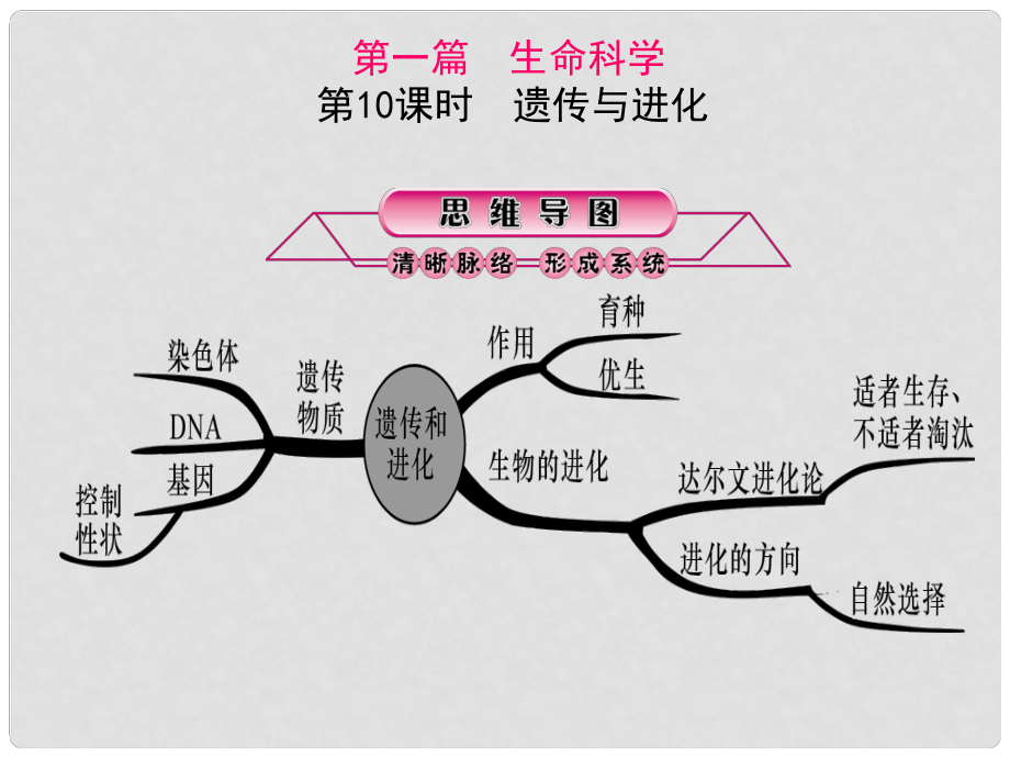 浙江省中考科學(xué)第一輪總復(fù)習(xí) 第一篇 生命科學(xué) 第10課時(shí) 遺傳與進(jìn)化課件_第1頁(yè)