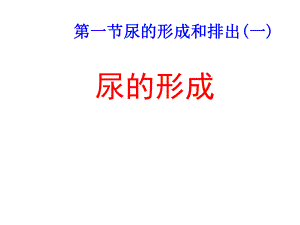 七年級生物下冊 第三單元 第四章 第一節(jié) 尿的形成和排出課件 （新版）濟(jì)南版