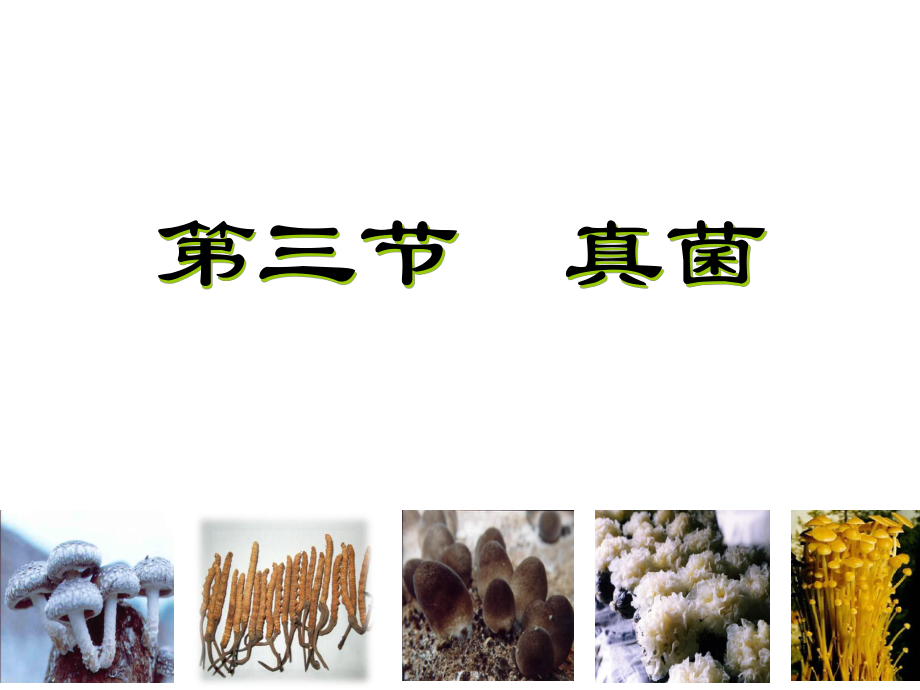 廣東省東莞市企石中學(xué)八年級(jí)生物上冊(cè) 第二批教學(xué)能手評(píng)選 5.4.3 真菌課件 （新版）新人教版_第1頁(yè)