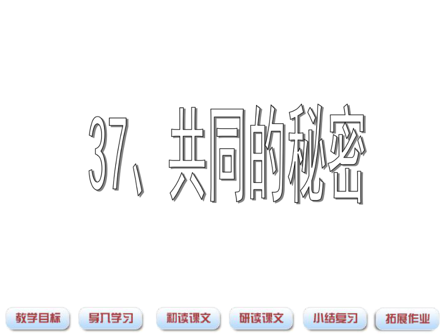 四年級語文下冊 第8單元 37《共同的秘密》課件1 滬教版_第1頁