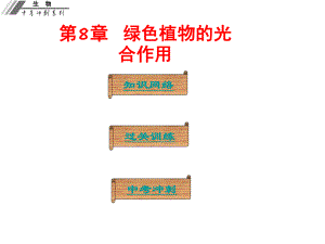 廣東省中山市中考生物沖刺復(fù)習(xí) 基礎(chǔ)梳理 第8章 綠色植物的光合作用課件 新人教版