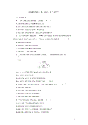 【金牌學(xué)案】高考生物二輪專題復(fù)習(xí)第一部分訓(xùn)練6細(xì)胞的分化、衰老、凋亡和癌變新人教版