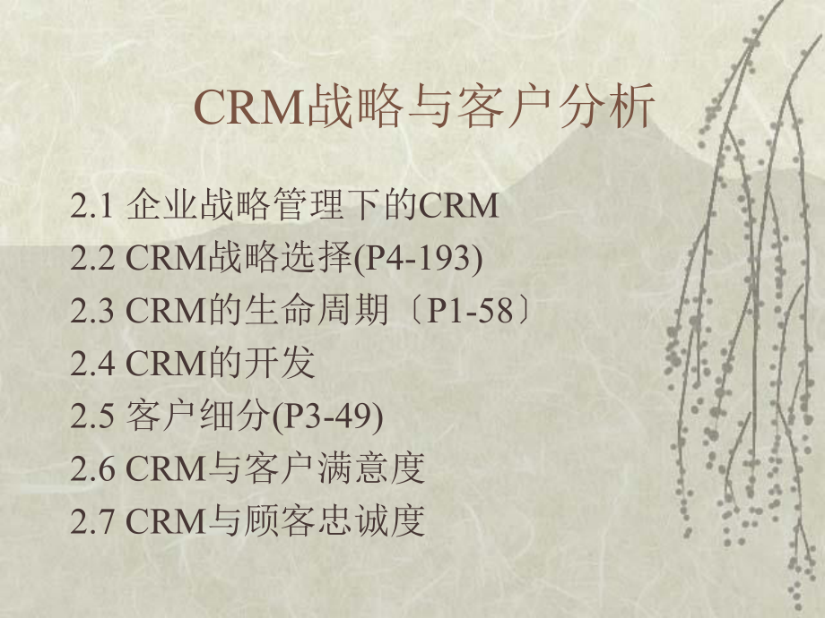 CRM战略与客户分析_第1页