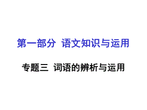 重慶市中考語文 第一部分 語文知識(shí)及運(yùn)用 專題三 詞語的辨析與運(yùn)用課件