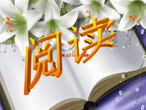 閱讀指導(dǎo) (2)