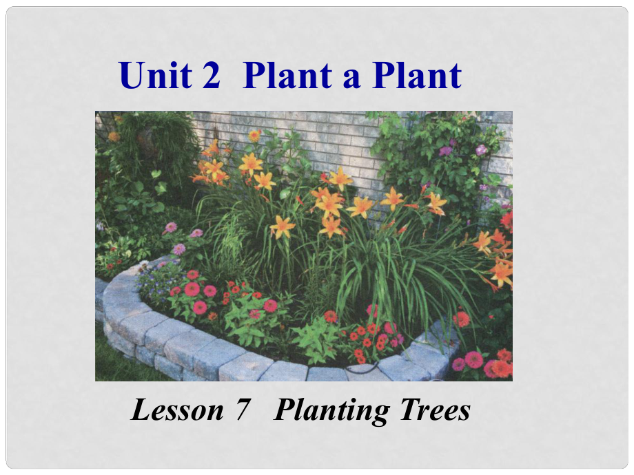 八年級(jí)英語下冊(cè) Unit 2 Plant a Plant Lesson 7 Planting Trees課件 （新版）冀教版_第1頁