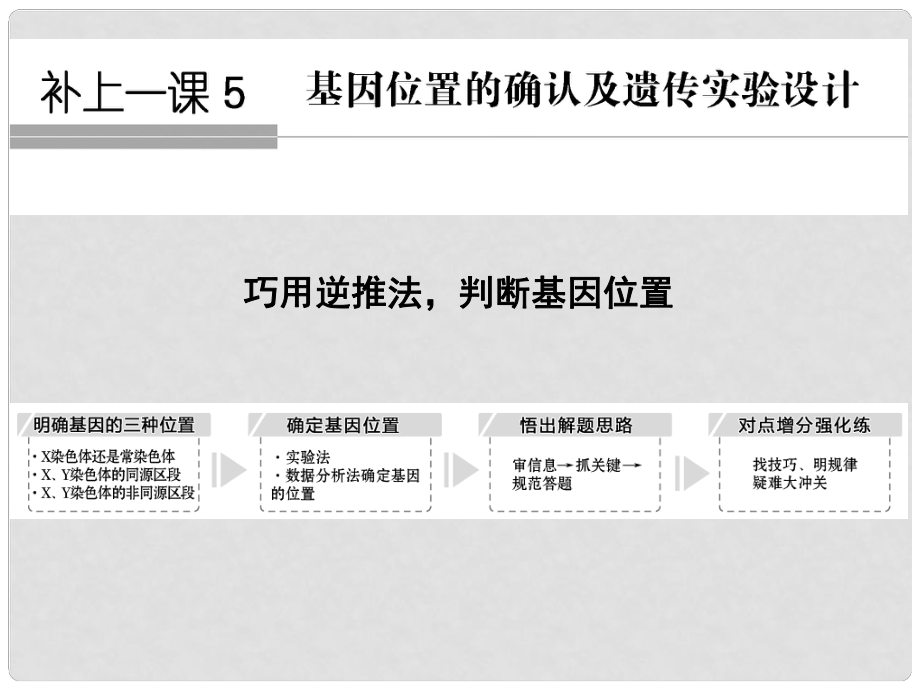 高考生物一輪復(fù)習(xí) 第6單元 遺傳的分子基礎(chǔ) 補上一課5 基因位置的確認(rèn)及遺傳實驗設(shè)計課件 新人教版_第1頁