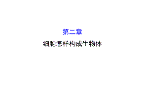 七年級生物上冊 第二單元 第二章 細(xì)胞怎樣構(gòu)成生物體課件 （新版）新人教版