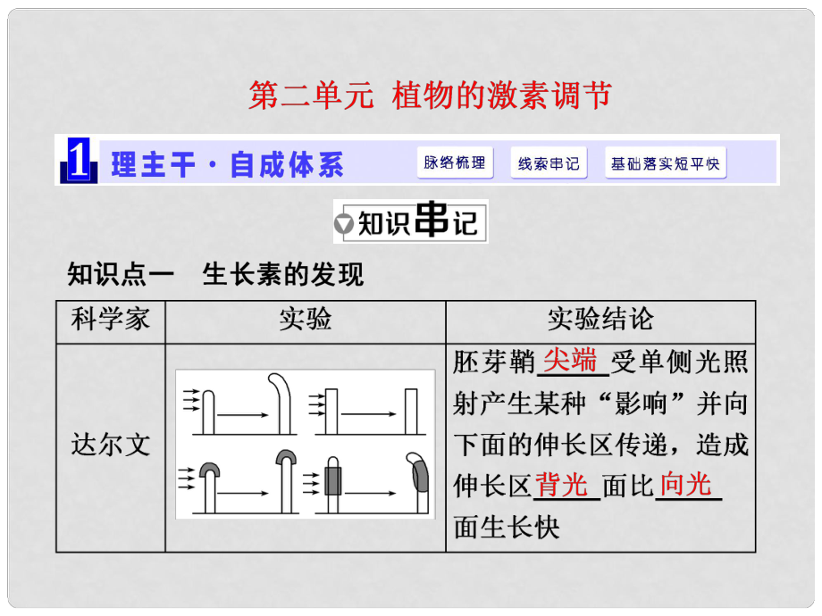 高三生物一輪復(fù)習(xí) 第二單元 植物的激素調(diào)節(jié)課件（必修3）_第1頁(yè)