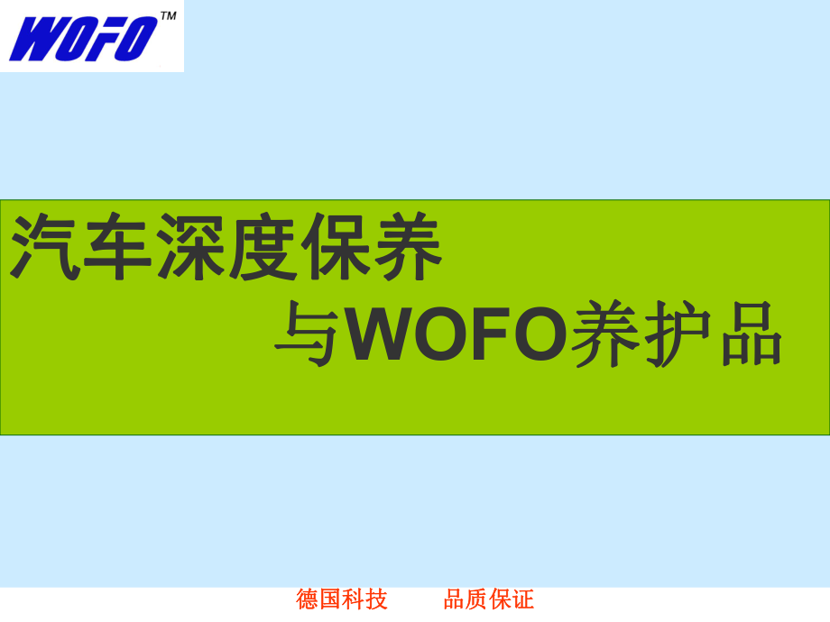 WOFO汽车燃油系统深化保养与养护品_第1页