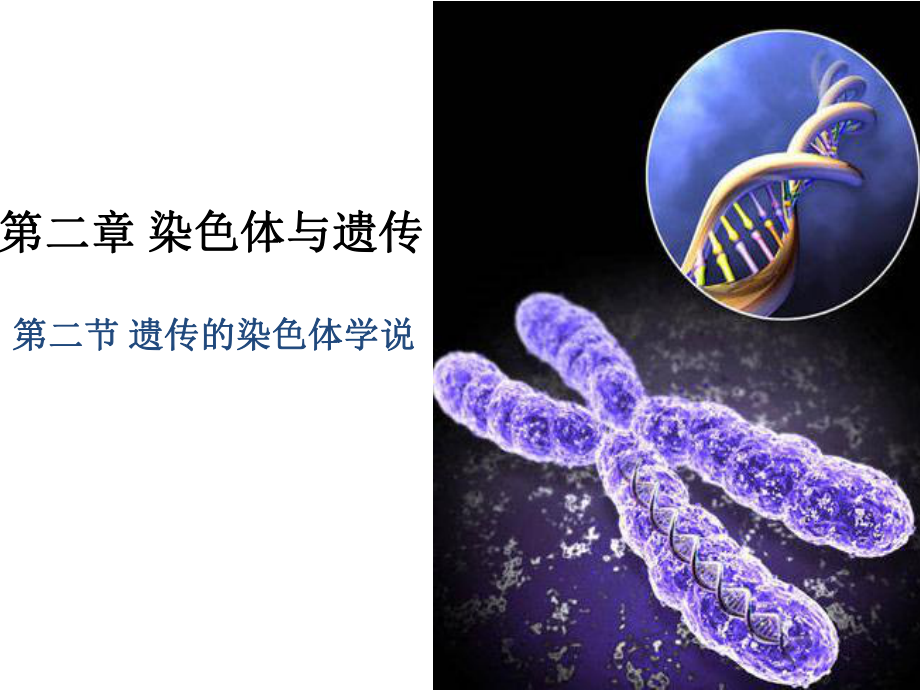 遗传的染色体学说--浙科版_第1页
