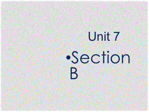 河北省深州市周龍華中學(xué)七年級英語下冊 Unit 7 It's ranining Section B（1a2c）課件 （新版）人教新目標(biāo)版